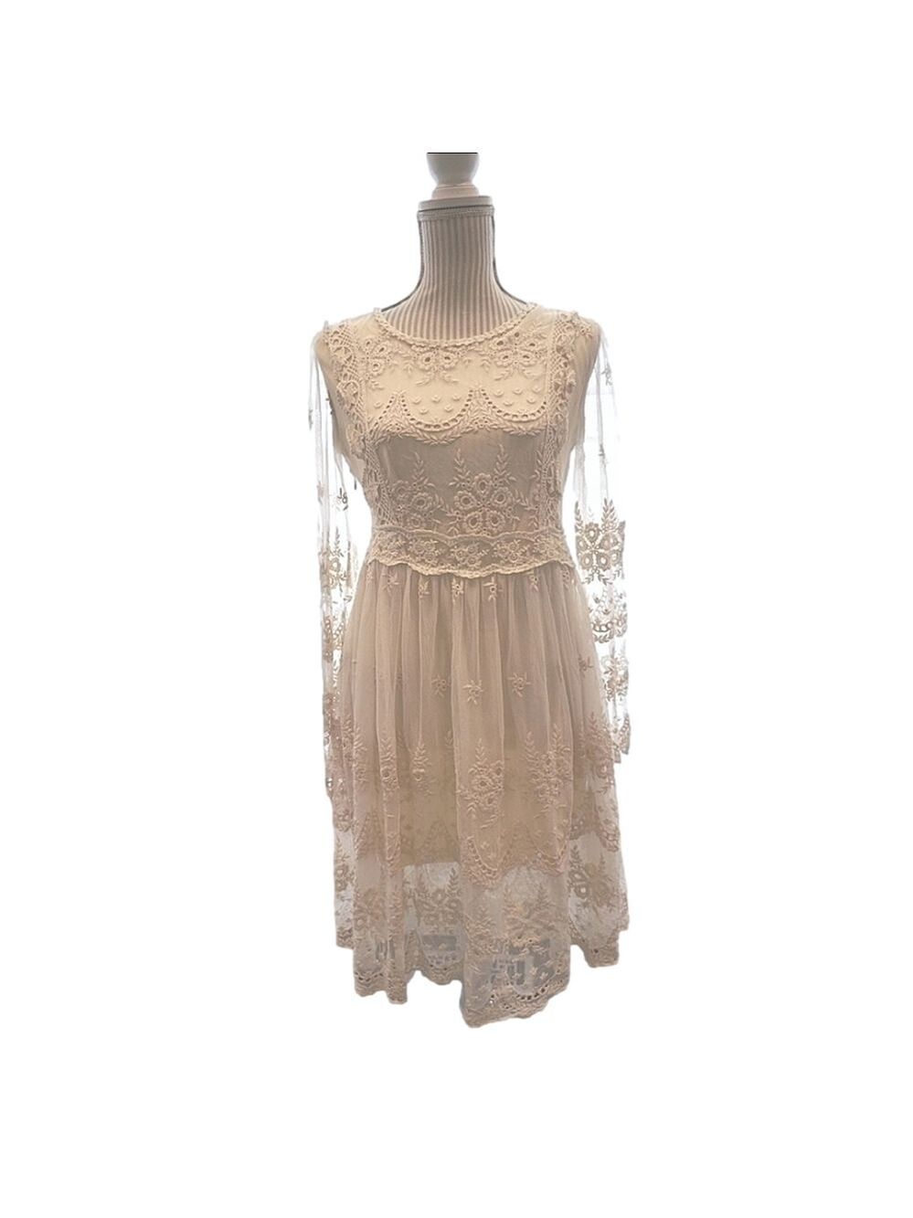 Chic Wish Lace & Crochet Dress